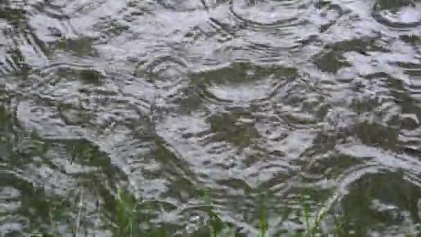 Повільний Рух Краплі Дощу Падають Воду Похмурий Осінній День Вид — стокове відео