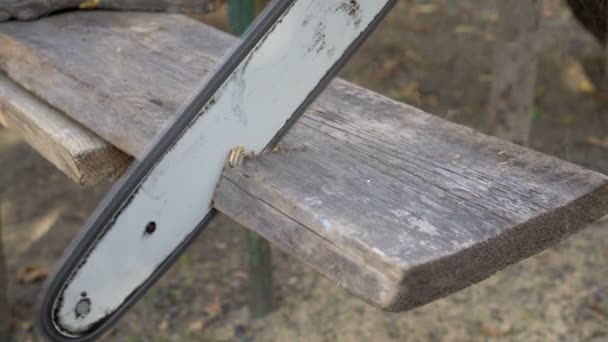 Close Chainsaw Blade Cuts Piece Old Wooden Board Fps — Stock Video