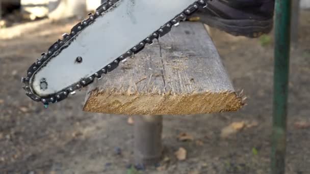 Man Saws Piece Old Board Electric Saw Resting His Foot — Stock Video