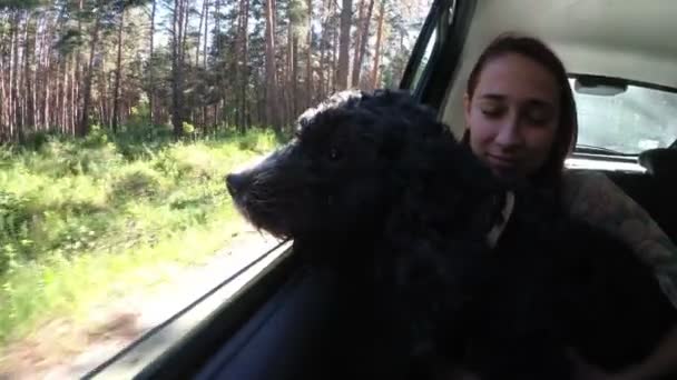 Un perro negro mira por la ventana del coche hacia el bosque, sentado en el regazo de los niños en el asiento trasero del coche. De cerca. Retrato. Vista desde el coche. 4K. 25 fps — Vídeo de stock