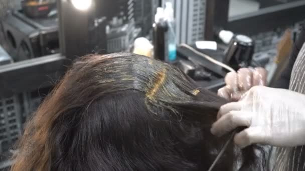 Peluquería Estilista Pinta Pelo Peluquería Ella Divide Cabello Chica Hebras — Vídeo de stock