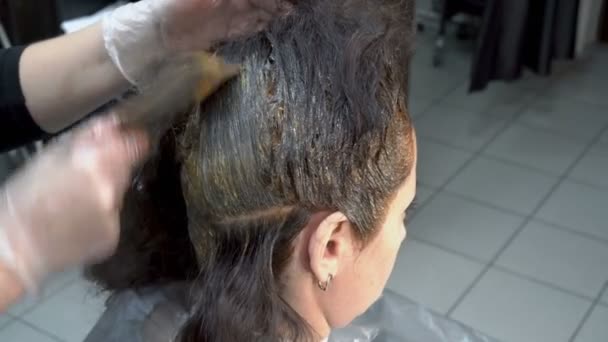 女孩的头发在理发店里染过 发型师将女孩的头发分在绳子上 挥舞着他们的染料 闭上你的嘴侧视图 — 图库视频影像
