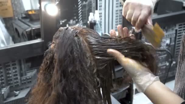 特写镜头 发型师美发师在美容院画女孩的头发 并用刷子在上面涂上油漆 从上后方的视图 — 图库视频影像