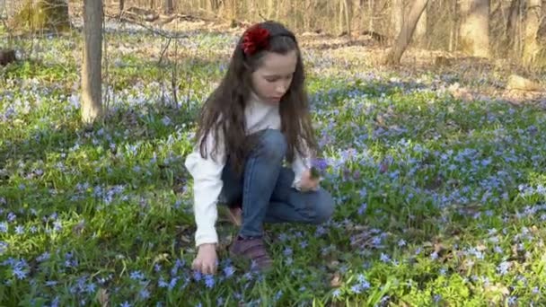 En ledsen liten flicka sitter i en glänta i skogen och samlar in första våren blommor-blåklockor i solnedgången. Porträtt. 4 k. 25 fps. — Stockvideo
