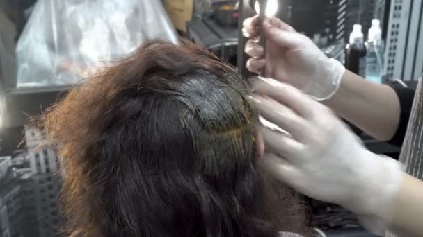Profesyonel kuaför-stilist Güzellik Salonu bir ayna önünde oturan bir kadının saç boyar. Saç Bakımı. Yakın çekim. Arka görüş. 4 k. 25 fps. — Stok video