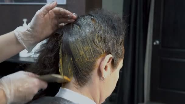 Zbliżenie, fryzjer-stylista rozmaz farby na głowie dziewczyny w salonie piękności z pędzlem. Farbowanie włosów procedury. Pielęgnacja włosów. Widok z tyłu. 4K. 25 kl./s. — Wideo stockowe
