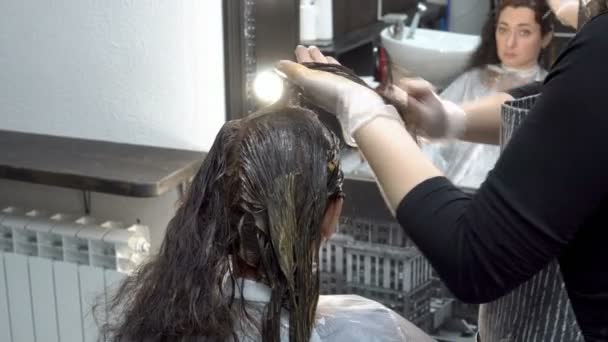 Linda chica sentada en la peluquería frente al espejo, y la peluquera se pone pintura en el pelo. Procedimiento para colorear el cabello. Cuidado del cabello. Vista trasera. 4K. 25 fps . — Vídeo de stock