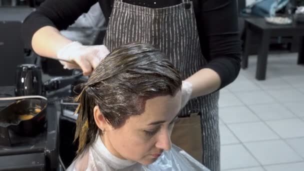 Colorante para el cabello en la peluquería. Una chica adulta sentada en la peluquería, y la peluquera se pone pintura en el pelo. Cuidado del cabello. De cerca. 4K. 25 fps . — Vídeo de stock