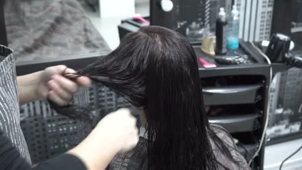 Девушка сидит в парикмахерской перед зеркалом, а парикмахер-стилист расчесывает свои мокрые волосы расчёской перед тем, как постричься. Вид сзади. 4k. 25 кадров в секунду . — стоковое видео
