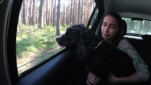 Un perro negro de pelo largo mira por la ventana de un coche que conduce a través del bosque. Una adolescente está sentada en la parte trasera de un coche, sosteniendo a un perro en su regazo y abrazándola. En cámara lenta. 4k. 25 fps . — Vídeo de stock