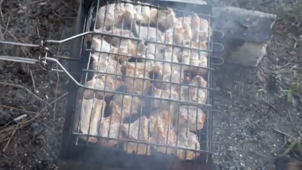 Barbacoa en la naturaleza. Grandes trozos de carne jugosa se fríen en las brasas de la parrilla. Un picnic al aire libre. La vista desde arriba. 4k. 25 fps . — Vídeos de Stock