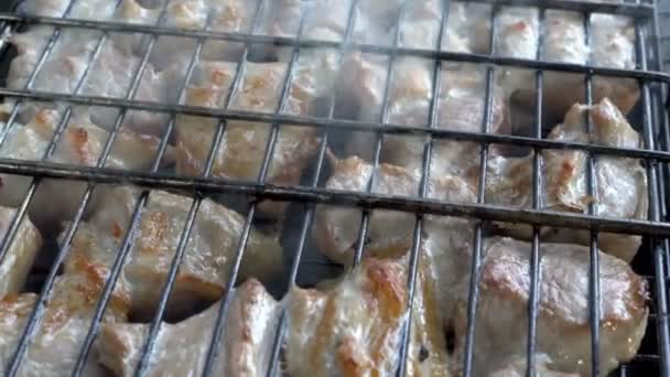 Extremely close-up of pieces of roasted meat, which is prepared on the coals on the grill. A barbecue in the open air. Top side view. 4k. 25 fps. — Stock Video