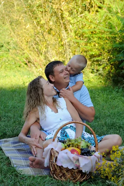 幸せな赤ちゃんはお父さんにキスし、首で彼を抱きしめる。お父さんは晴れた夏の日に芝生の上に公園でママを抱きしめます。自然の中で家族のピクニック。肖像 画。垂直ビュー — ストック写真