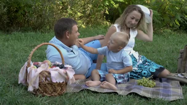 Un niño alegre está alimentando a su padre con uvas mientras está sentado en la hierba en el parque al atardecer y jugando con él. Mamá se sienta cerca y se ríe. Picnic familiar al aire libre. Retrato. 4K — Vídeo de stock