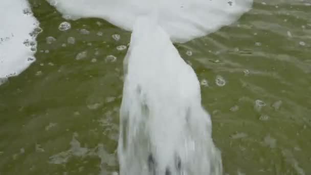 Dall'ugello della fontana batte una fitta corrente d'acqua su uno sfondo di schiuma bianca in una giornata di sole. Vista laterale superiore. 4K . — Video Stock