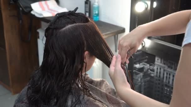 Női fodrász fésülködik és olló vágja a haját egy lány, aki ül a tükör előtt a szépségszalonban. Közelkép. 4k — Stock videók