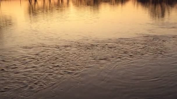 Yaz günün gün batımında şehir gölet yüzeyinde suyun pürüzsüz hareket. Close. 4k. — Stok video
