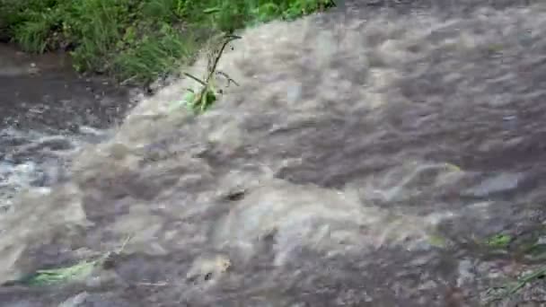 De stroom van vuil, modderig water na een regen loopt op stenen en stroomt naar beneden in de rivier. Close-up. 4k. — Stockvideo