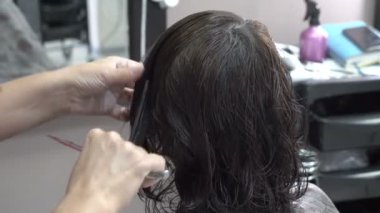 Master stilist tarak ve berber dükkanında müşteriye makaslar saç. Close. Arka görünüm, yan görünüm. 4k.