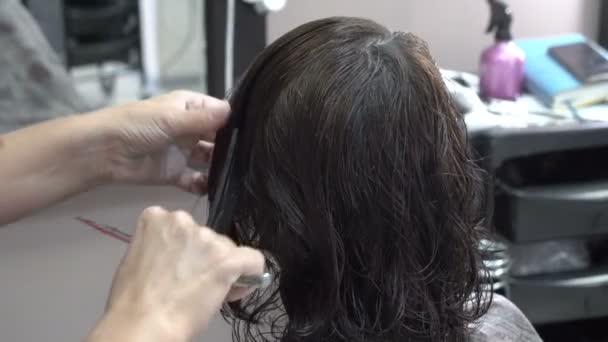 Master estilista peine y tijera el pelo al cliente en la peluquería. Primer plano. Vista trasera, vista lateral. 4K . — Vídeos de Stock