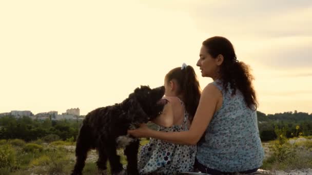 Mamá y su hija pequeña con un perro sentado en la cima de una montaña al atardecer en un día de verano. Se divierten jugando y acariciando al perro. Vista trasera. De cerca. El concepto de felicidad. 4K — Vídeos de Stock