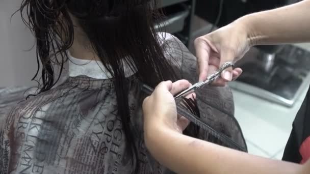 Eine Friseurin schneidet einem Mädchen in einem Schönheitssalon die langen dunklen Haare. Nahaufnahme. Rückansicht, Draufsicht. 4k. — Stockvideo
