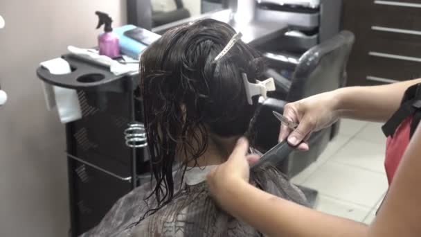 Мастер парикмахер стрижет темноволосую девушку в салоне красоты. Крупный план. Вид сзади, вид сверху. 4K . — стоковое видео