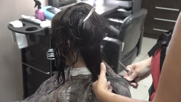 Cabeleireiro corta cabelo escuro com tesoura para a menina no salão de beleza. Close-up. Vista traseira, vista superior. 4K . — Vídeo de Stock