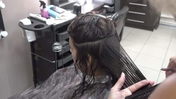 Майстер перукар вирізає темні пасма волосся дівчині в салоні краси. Крупним планом. Вид ззаду, вид збоку. 4-кілометровий . — стокове відео