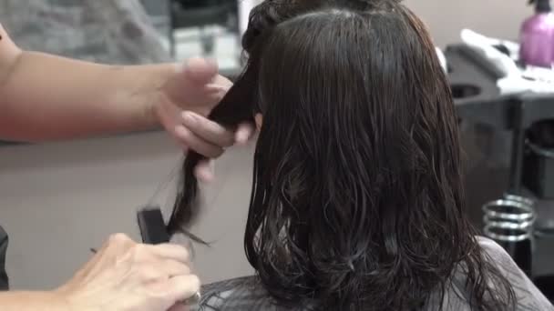 Nahaufnahme der Hand des Friseurmeisters. Sie kämmt und schneidet das dunkle Haar des Mädchens mit einer Schere. 4k. — Stockvideo