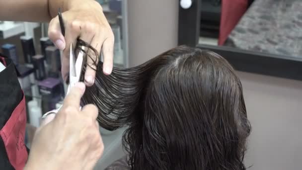 Las manos de un maestro estilista de cerca. Se peina y corta el pelo de un cliente en una peluquería. Primer plano. Vista lateral. 4K . — Vídeos de Stock