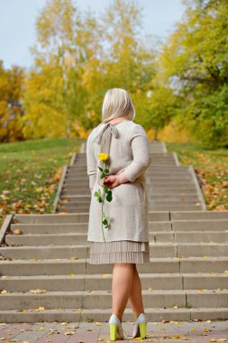 Büyük bir kadın Park'ta bir taş merdiven karşı duruyor ve güneşli bir sonbahar gününde arkasında sarı bir gül tutar. Kavramsal fotoğrafçılık