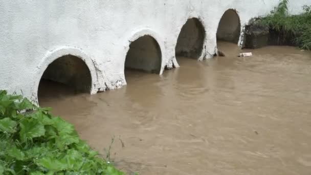 Um fluxo turbulento de água lamacenta derrama através dos tubos de derramamento durante a chuva. Plantas verdes em primeiro plano. Vista superior. 4K — Vídeo de Stock