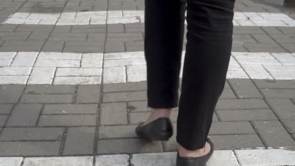 Cerca de las piernas de una mujer que camina a lo largo del paso peatonal a lo largo de la acera en pantalones negros y zapatos negros. Vista trasera. Vista a nivel del suelo. 4K . — Vídeo de stock
