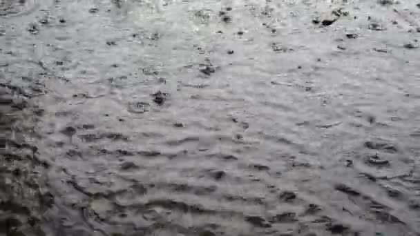 Gotas de lluvia gotean en un charco grande. Las burbujas aparecen en la superficie del agua. Lluvia en la ciudad en un sombrío día de otoño. De cerca. 4K . — Vídeo de stock