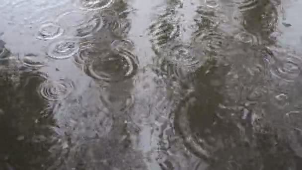 Na água de superfície em uma poça de estabelecimento emergente e bolhas de gotas chuva. Chuva na cidade em um dia de outono sombrio. Fecha. Vista superior. 4K . — Vídeo de Stock