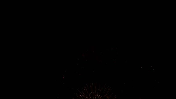 Flashes multicoloridos brilhantes de fogos de artifício no céu noturno em um fundo preto. Um evento festivo. Fecha a porta. O conceito da celebração. 4K . — Vídeo de Stock