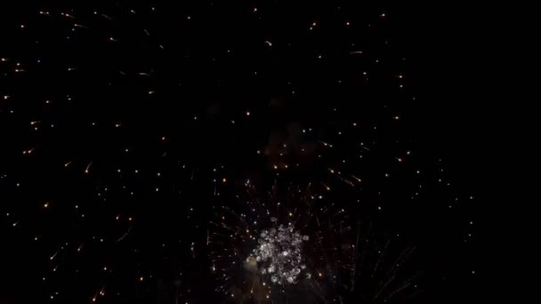 Flashes coloridos festivos de fogos de artifício no céu noturno em um fundo preto. Um evento festivo. Fecha. O conceito da celebração. 4K . — Vídeo de Stock