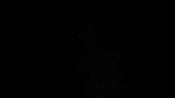 Prachtig vuurwerk aan de nachtelijke hemel. Veelkleurige flitsen op een zwarte achtergrond. Stadsvakantie. Concept. Een close-up. 4k. — Stockvideo