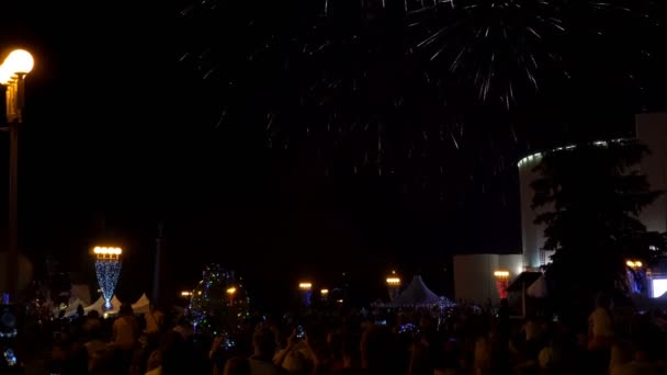 Багато людей стоять і дивляться на феєрверки в нічному небі над міською площею. Багатокольорові спалахи на чорному тлі. Свято міста. Концепція. 4k. — стокове відео