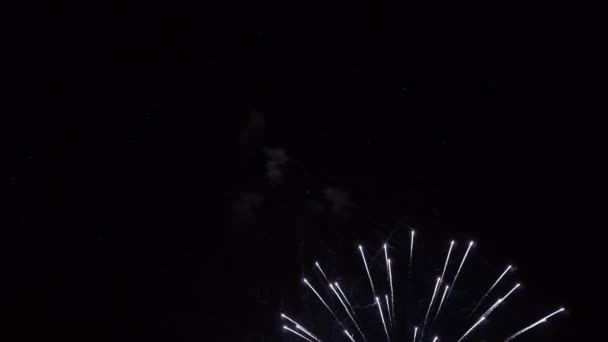 Flashes brancos brilhantes de fogos de artifício no céu noturno em um fundo preto. Um evento festivo. Fecha a porta. O conceito da celebração. 4K . — Vídeo de Stock