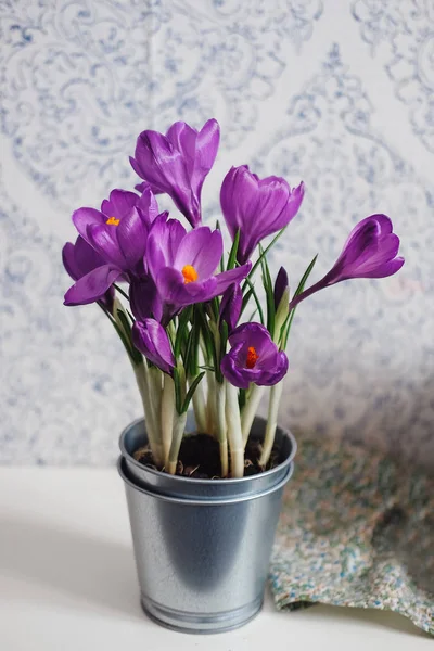 Güzel yaz buket mor renkleri peonies, orkide, çiğdemler ve güller. 