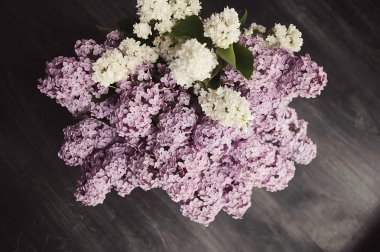 Yumuşak pastel ihale çiçek doğal kökenli eflatun çiçekler abstract, arka plan gibi kullanılabilir.