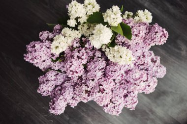 Yumuşak pastel ihale çiçek doğal kökenli eflatun çiçekler abstract, arka plan gibi kullanılabilir.