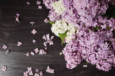 Yumuşak pastel ihale çiçek doğal kökenli eflatun çiçekler abstract, arka plan gibi kullanılabilir.