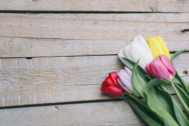 Ahşap arka plan üzerinde renkli lale yalan. Vintage