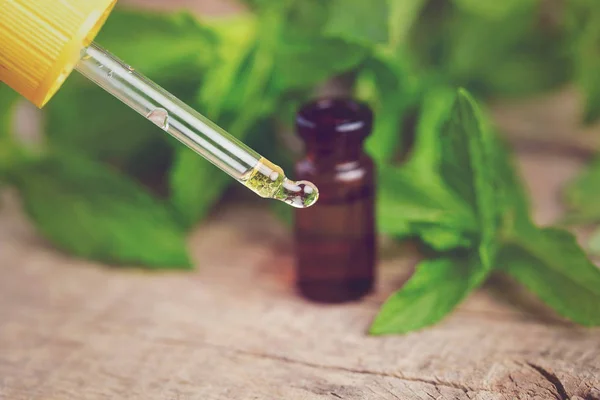 Mint oil dripping into bottle on blurred natural green background