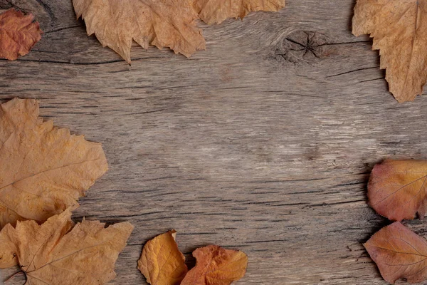 Cadre de feuilles d'automne sur un fond en bois. Nuances calmes, couleurs bizarres et poussiéreuses. Vue de dessus, plan plat — Photo