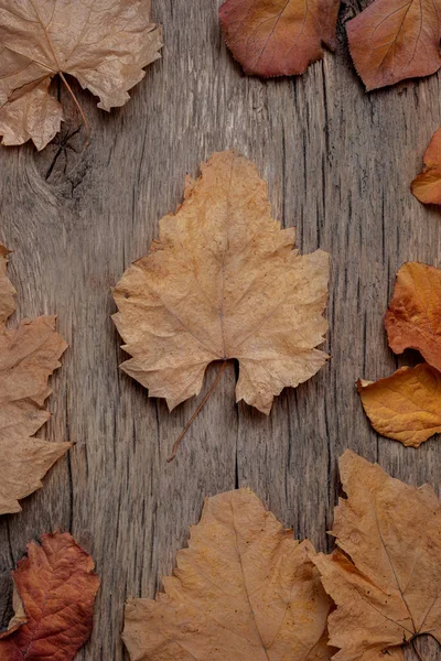 Cadre de feuilles d'automne sur un fond en bois. Nuances calmes, couleurs bizarres et poussiéreuses. Vue de dessus, plan plat — Photo