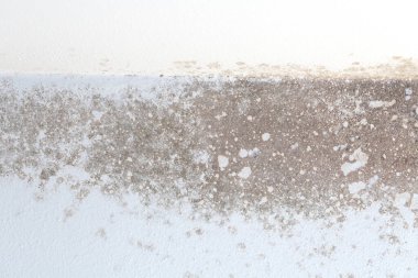 İç mekanın duvarındaki küf, desenli yüzeyi renk değişimi ve lekelerle sergiliyor, çevredeki nem ve ihmalin etkisini vurguluyor.. 